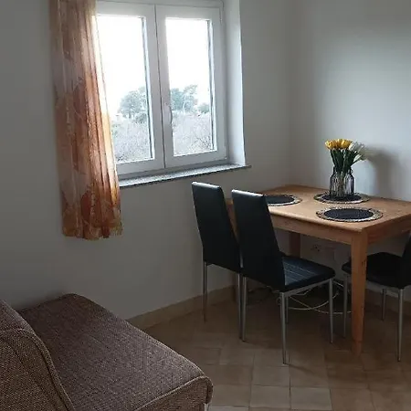 公寓 Druzinski Apartmaji Punat-krk 普纳特